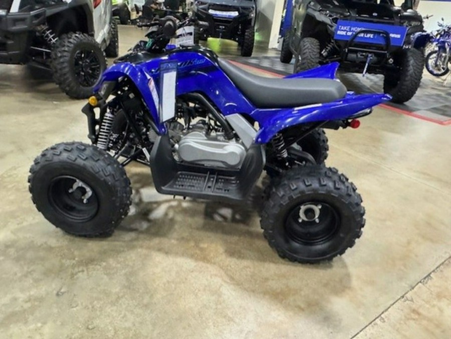 2026 Yamaha Raptor 110