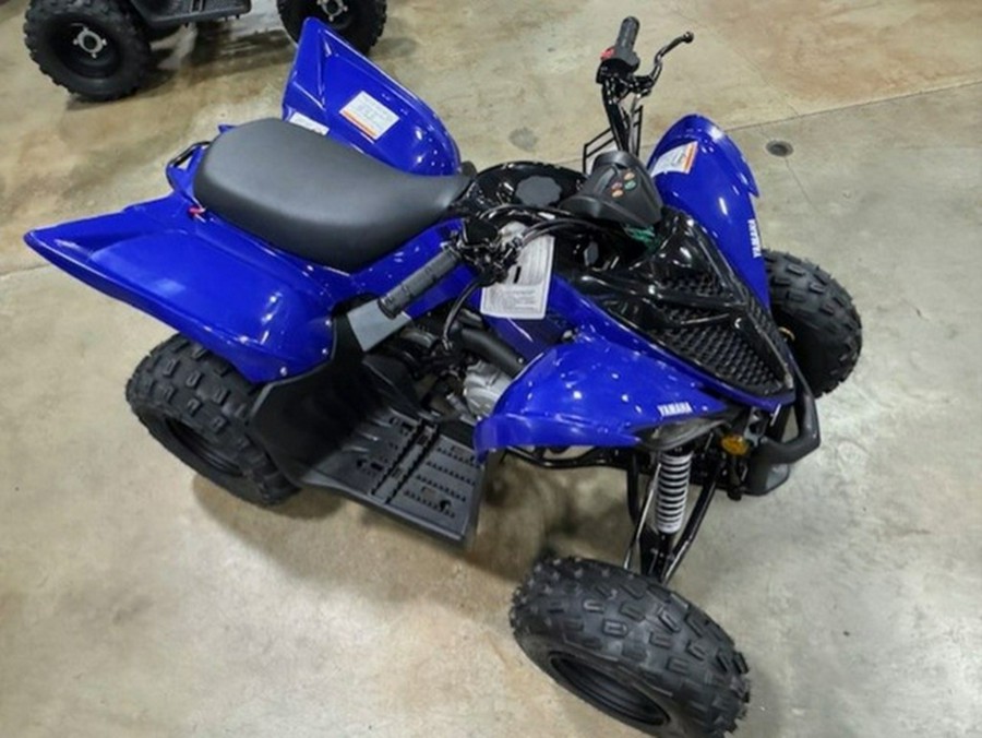 2026 Yamaha Raptor 110