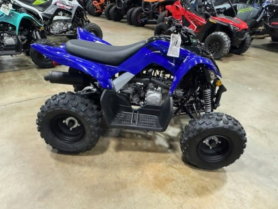 2026 Yamaha Raptor 110