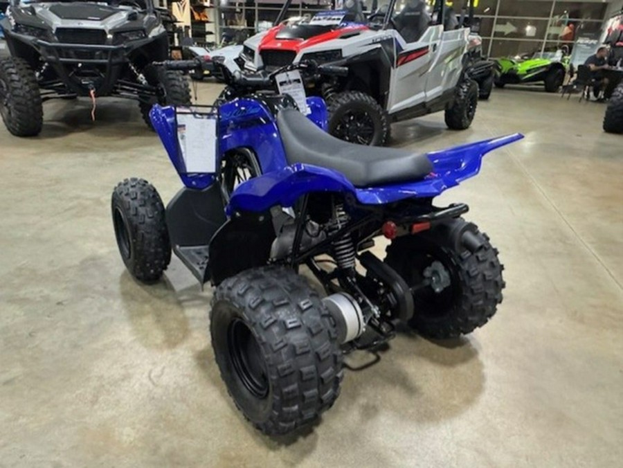 2026 Yamaha Raptor 110