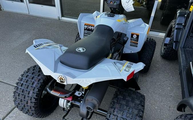 2024 Can-Am® Renegade 110 EFI