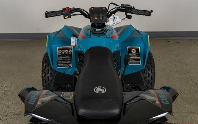 2024 Can-Am RENEGADE 70