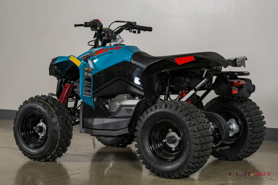 2024 Can-Am RENEGADE 70