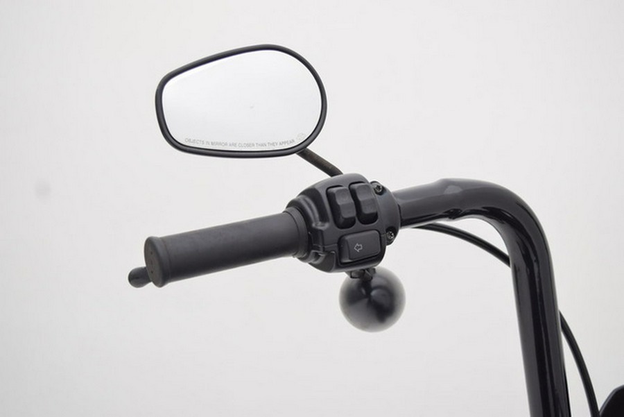 2021 Harley-Davidson XL1200NS - Iron 1200