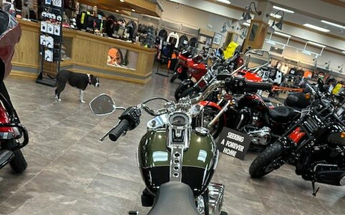 2026 Harley-Davidson® Fat Boy® Olive Steel Metallic / Vivid Black Chrome Trim