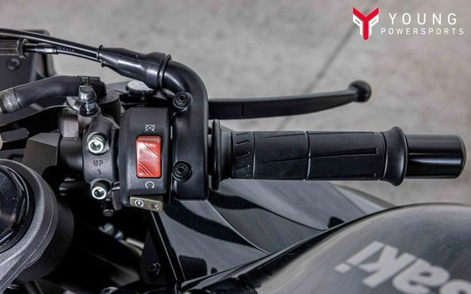 2026 Kawasaki Ninja ZX-6R