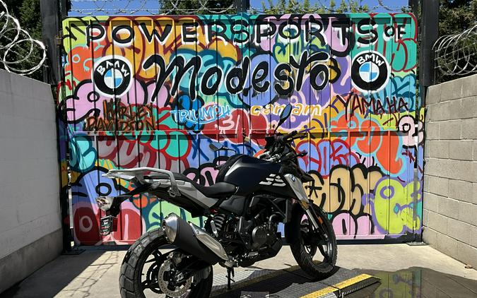 2025 BMW G 310 GS