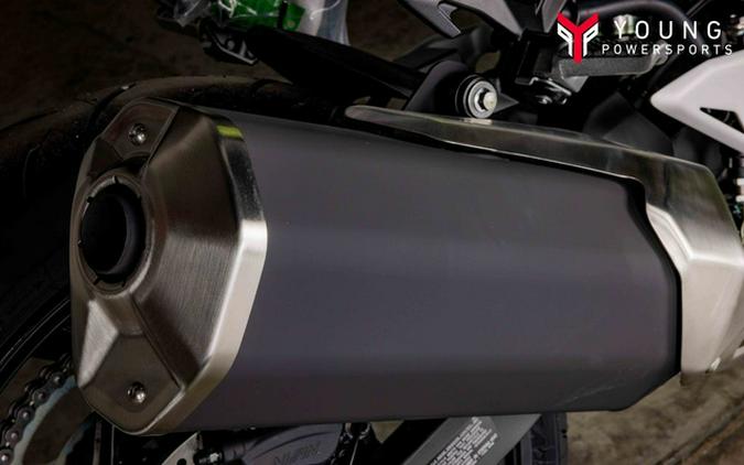 2026 Kawasaki Ninja 500 ABS Metallic Yellowish Green/Ebony