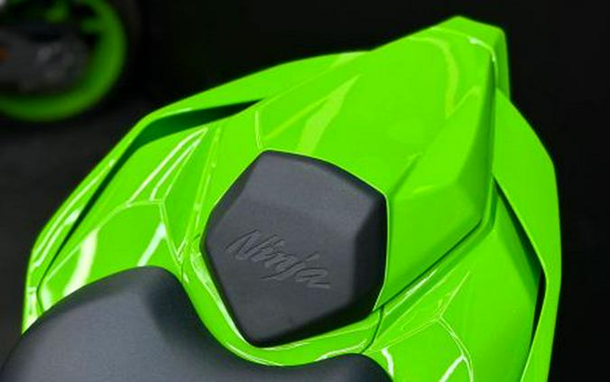 2024 Kawasaki Ninja ZX-10RR