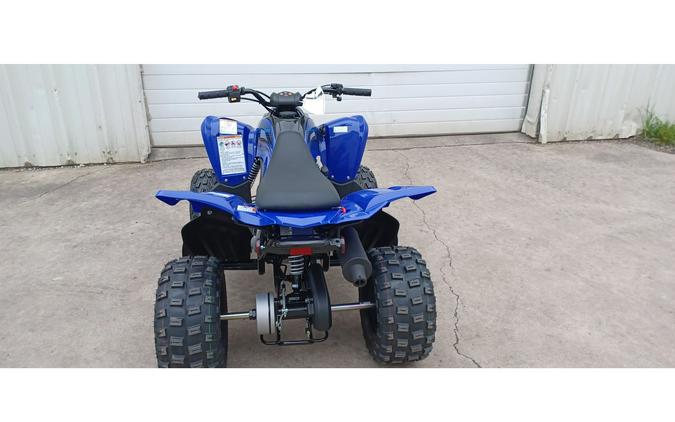 2024 Yamaha RAPTOR 110