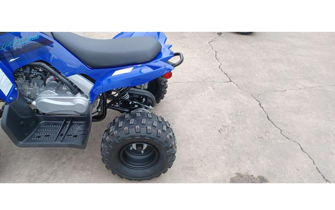 2024 Yamaha RAPTOR 110