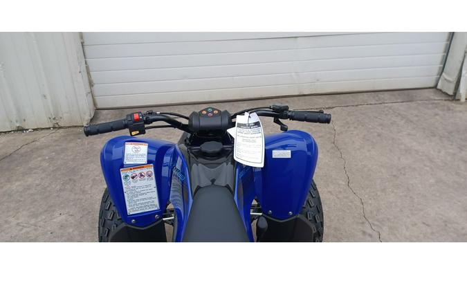 2024 Yamaha RAPTOR 110