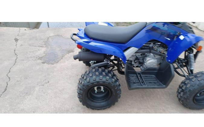 2024 Yamaha RAPTOR 110