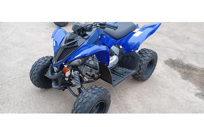 2024 Yamaha RAPTOR 110