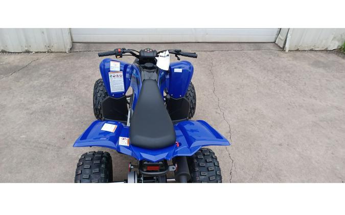 2024 Yamaha RAPTOR 110