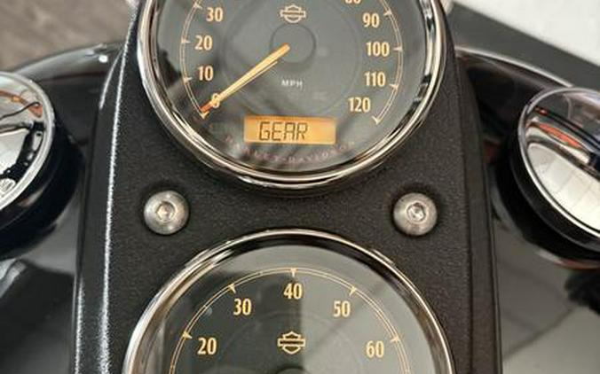 2015 Harley-Davidson® FXDL - Dyna® Low Rider®