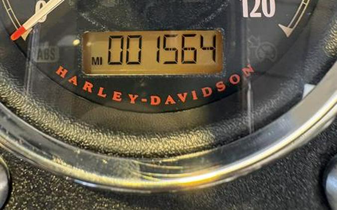 2015 Harley-Davidson® FXDL - Dyna® Low Rider®