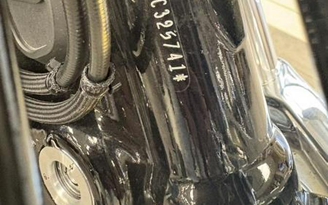 2015 Harley-Davidson® FXDL - Dyna® Low Rider®