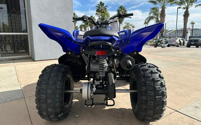 2024 YAMAHA RAPTOR 110