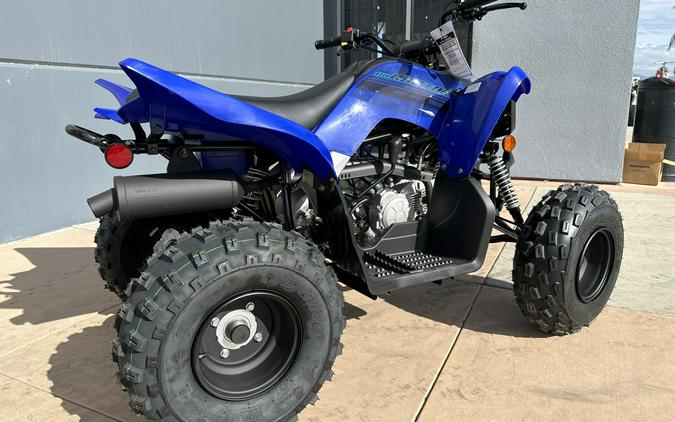 2024 YAMAHA RAPTOR 110