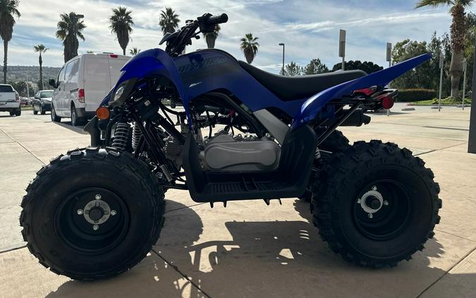 2024 YAMAHA RAPTOR 110