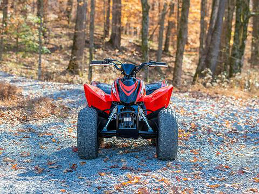 2024 Honda TRX90X