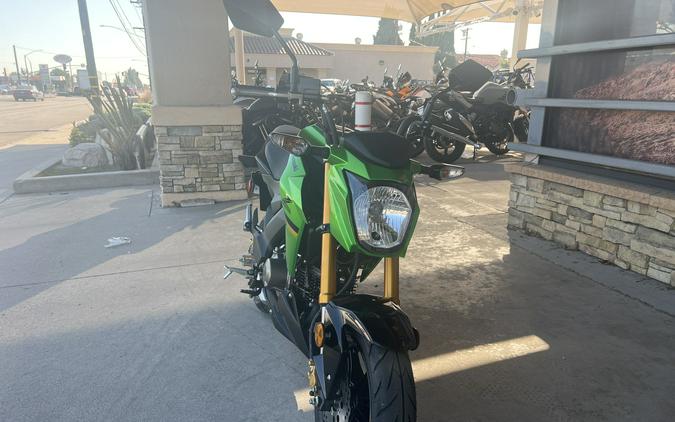 2024 KAWASAKI Z125 PRO