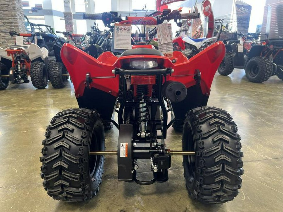 2026 Kayo Fox / Storm 70