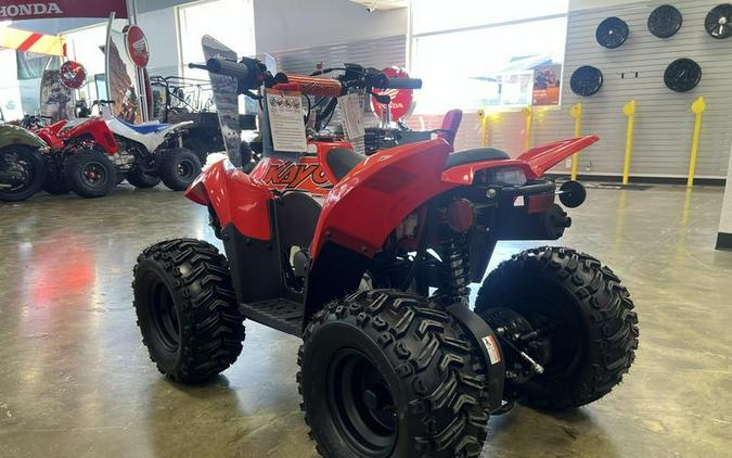 2026 Kayo Fox / Storm 70