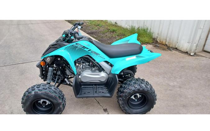 2024 Yamaha RAPTOR 110