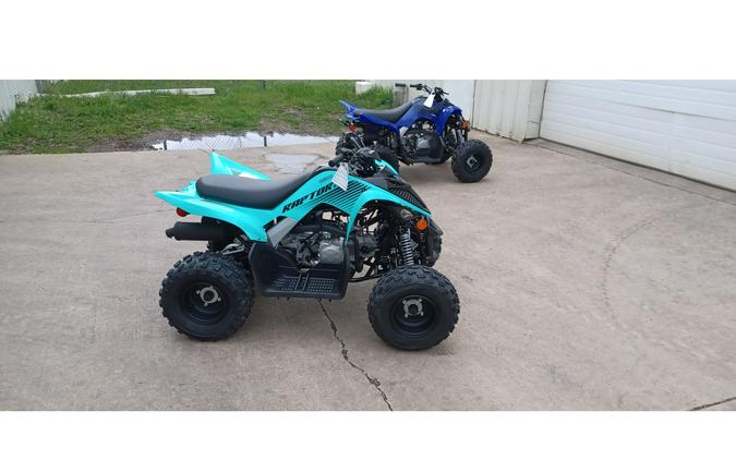 2024 Yamaha RAPTOR 110