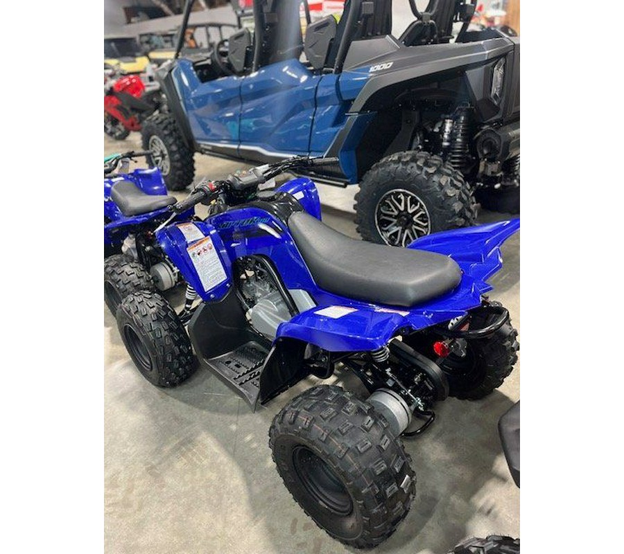 2025 Yamaha Raptor 110