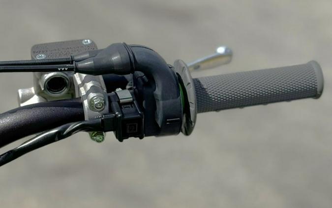 2026 Kawasaki KX 250X