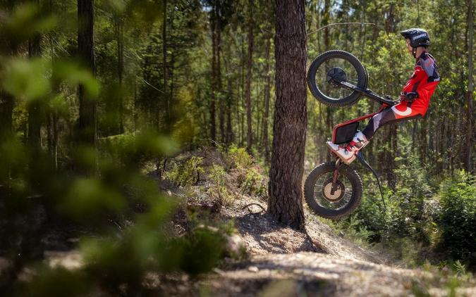 2024 Oset Electric Bikes TXP-24