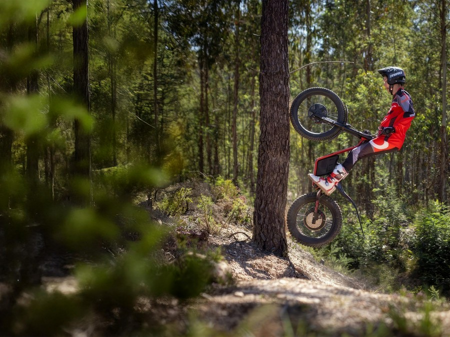 2024 Oset Electric Bikes TXP-24