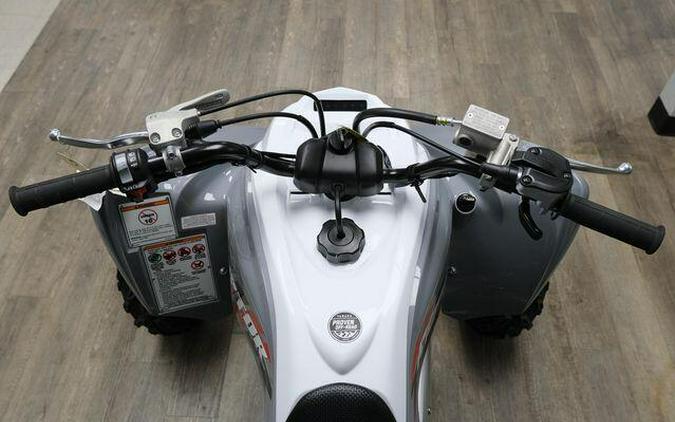 2026 YAMAHA RAPTOR 700