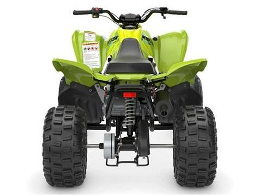 2026 Yamaha Raptor 110