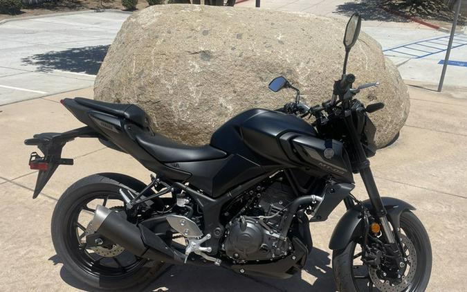 2025 Yamaha MT 03