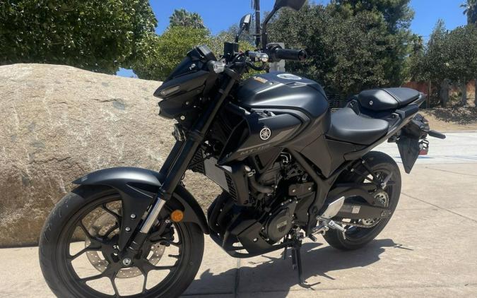 2025 Yamaha MT 03