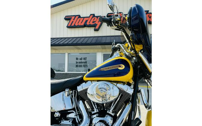 2004 Harley-Davidson® FLSTF FAT BOY