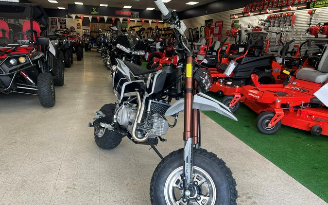 2024 GPX Moto FSE 190 Fat Tire