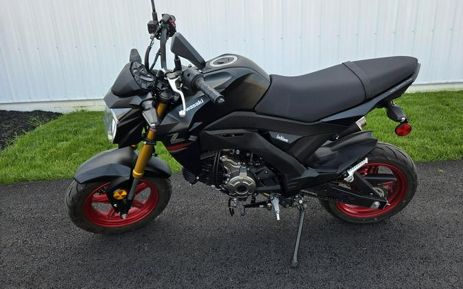 2021 Kawasaki Z125 PRO
