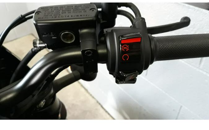 2023 REBEL 500 ABS FOP - Honda
