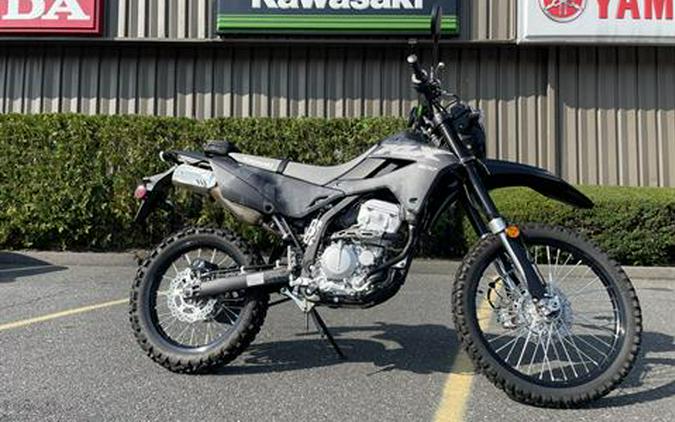 2024 Kawasaki KLX 300