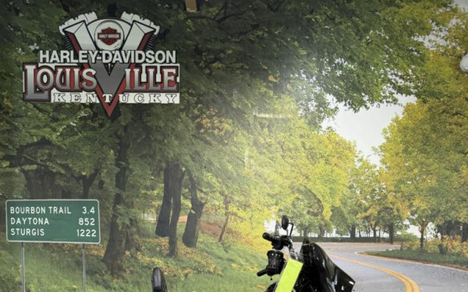 2020 Harley-Davidson Street Glide Special