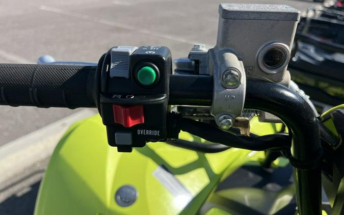 2023 Yamaha Grizzly EPS