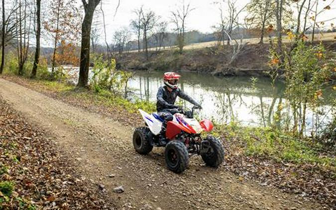 2025 Honda TRX250X