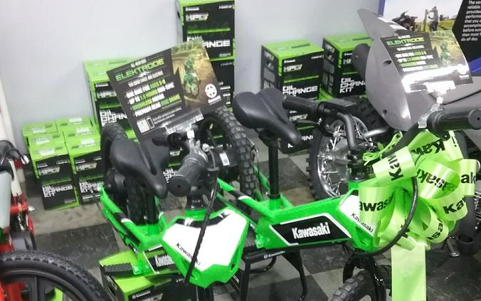 2023 Kawasaki Elektrode