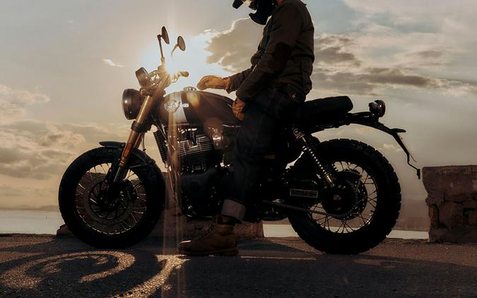 2025 Royal Enfield Bear 650