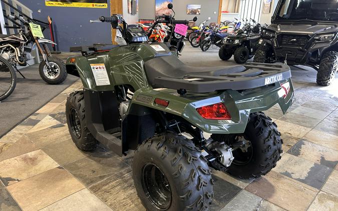 2026 Arctic Cat Off Road Alterra 300 2x4